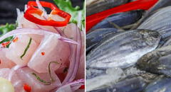 ¿Qué PESCADO se usa para preparar CEVICHE? Conoce cuáles son las MEJORES especies