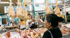 Precio del pollo se mantuvo alrededor de los S/10,50 en julio