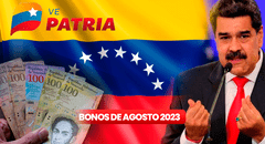 Bonos de la Patria agosto 2023: estos son los nuevos montos de los subsidios