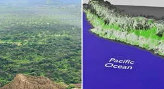 Científicos advierten que la costa de Perú se hace más verde: ¿por qué debe preocuparnos?
