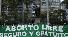 Una de cada 5 mujeres en el Perú ha abortado, reveló una investigación científica