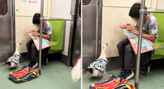 Niño genera ternura al viajar en tren con su pato en la mochila: “La mejor compañía”
