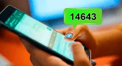 ¿Qué significa el número 14643 que algunos usuarios envían al conversar por WhatsApp?