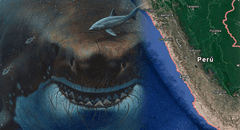 Así era el megalodón, el tiburón gigante que vivió en las costas del Perú por 10 millones de años