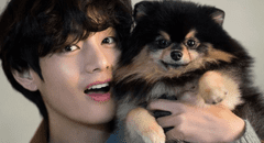 BTS: el tierno homenaje de Taehyung a su perrito en 'Layover': ¿cuándo se estrena su disco solista?