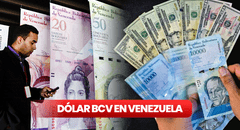 Dólar BCV HOY, viernes 11 de agosto 2023: conoce la cotización del dólar en Venezuela