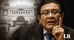 Congreso: 31 legisladores suscribieron proyectos para someter el sistema electoral