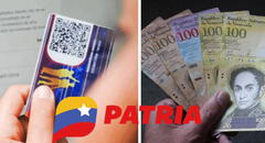 Bonos de la Patria: estos son los 4 subsidios que llegarán del 14 al 19 de agosto