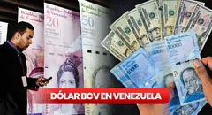 Dólar BCV HOY, jueves 24 de agosto 2023: conoce la cotización del dólar en Venezuela