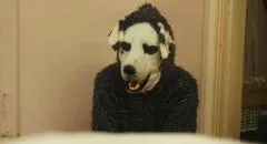 'Good boy' 2023, la macabra película con un hombre disfrazado de perro: ¿de qué trata y qué secreto esconde?
