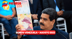 Bonos de la Patria: revisa los 7 subsidios que llegan del 24 al 31 de agosto