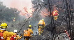 Incendio forestal en Machu Picchu consume zona de amortiguamiento del parque arqueológico