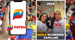 Bono Economía Familiar, agosto 2023: ¿cuándo pagan y cómo registrarte para cobrar el monto?