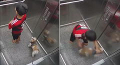 Niño salva a su perro luego de que su collar quedó atrapado en puerta de ascensor: “Sentí desesperación”