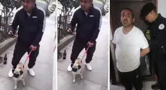 Madre de sujeto que agredió a perrita en La Victoria fue quien denunció el hecho, informó PNP