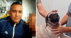 Perrita acuchillada en La Victoria permanece en veterinaria con pronóstico reservado