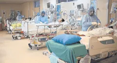 COVID-19: 800 peruanos se contagian a la semana y 70 de ellos mueren