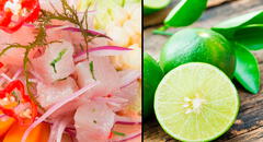 Ceviche con ácido acético: ¿cómo identificar si tu plato está adulterado?