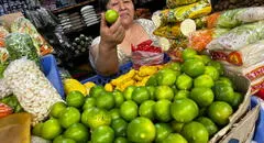 Gobierno evalúa aumentar la importación del limón para incrementar su oferta y precio se modere