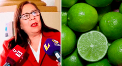 Ministra de Desarrollo Agrario y Riego ante alza del LIMÓN: "Usemos más sal, vinagre y limón Tahití"