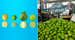 Limón Tahití, cañita y más: ¿cuántas variedades se venden en Perú, a cuánto el kilo y para qué se usan?