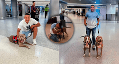 Migrante venezolano se rencuentra con sus mascotas tras 2 años separados