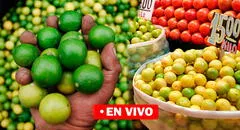 Precio del limón HOY miércoles 13 de septiembre: cuánto cuesta el kilo en Lima y regiones del Perú