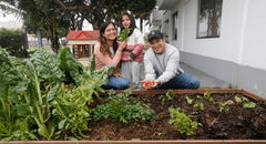 El club de los huertos caseros
