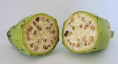 Así era el plátano en su forma original hace 7.000 años: tenía semillas y casi no era comestible