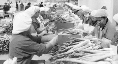 Economía social de mercado: entre lo formal y real, por Kurt Burneo