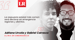 A ritmo de dengue (segunda parte), por Adriana Urrutia y Gabriel Carrasco