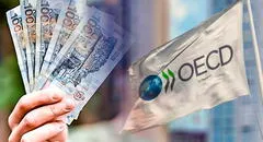 OCDE propone que el salario mínimo en el Perú sea diferenciado por edad o región