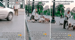 Adulto mayor sorprende al arriesgar su vida para alimentar a perros y gatos: “Qué gran ser humano”
