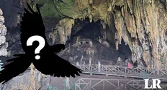 La Cueva de las Lechuzas no tiene a esta ave: ¿qué raro animal habita la atracción turística?