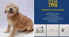 ¿Quieres un tatuaje? Albergue realiza tatuatón para recaudar fondos y ayudar a animales rescatados