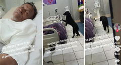 Adulto mayor en grave estado de salud pide que adopten a su perrito: “Yo estaré muy agradecido”