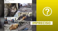 Posteo viral de animales heridos tras bombardeos en Gaza incluye fotos fuera de contexto