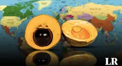 La lúcuma del Perú entra en el top 10 de las mejores frutas del mundo según Taste Atlas