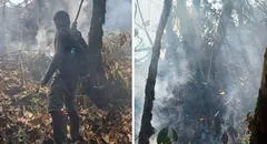Piden apoyo aéreo para controlar incendio forestal que tiene 4 días activo en San Martín