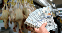 Tipo de cambio: ¿cuáles son los sectores más afectados por el alza del dólar?