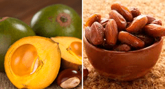 ¿Cuáles son las 10 mejores frutas del mundo y de qué países provienen, según Tastle Atlas?
