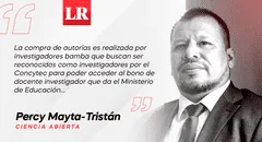 Investigadores bamba, por Percy Mayta-Tristán