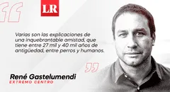 Perros y humanos: esa mágica mirada, por René Gastelumendi