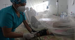 Más de 36.000 contagios y 155 fallecidos por dengue en Lambayeque