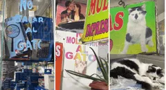 Negocio se vuelve viral por poner peculiares anuncios sobre su gato: “El michi es una celebridad”