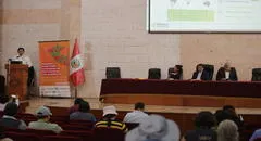 Arequipa consume verduras contaminadas de agroquímicos
