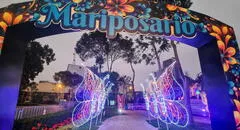 Mariposario gratis en Lima: conoce los horarios, dónde queda y cómo llegar al parque interactivo