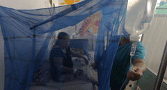 Piura registra 147 muertos por dengue y temen aumento