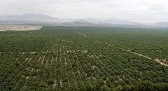 En enero de 2024 se sabrá qué país ejecutará obras de III etapa de Chavimochic