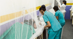 Casos y defunciones por dengue se han disparado este año